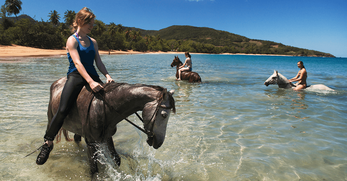 After an exhilarating canter on the beach, both horse and rider can enjoy a refreshing dip in clear Caribbean waters. 