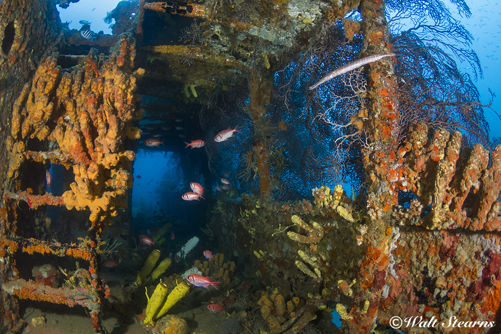 The Lesleen M Wreck