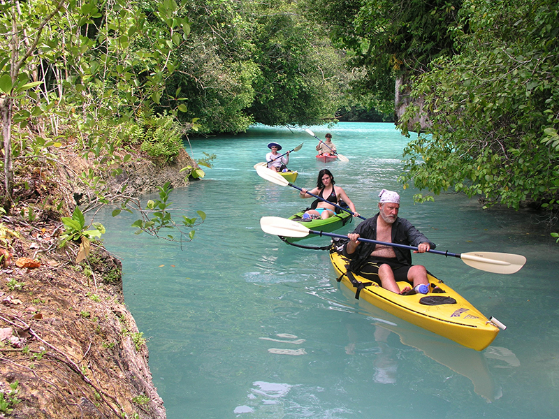 Kayak tours are a popular activity with Sam's tours. Kayak tours are a popular activity with Sam's tours.
