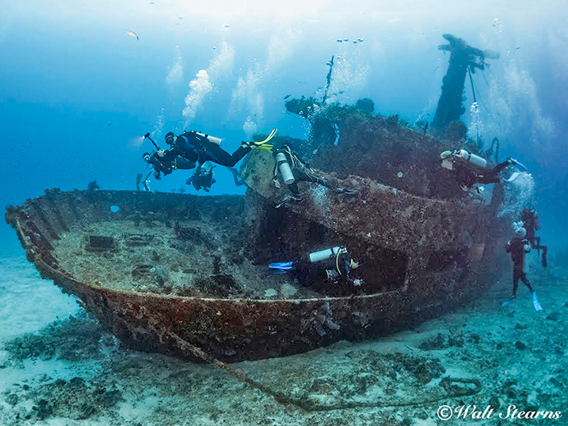 The Mama Viña wreck is one of Playa Del Carmen's most popular dive sites.