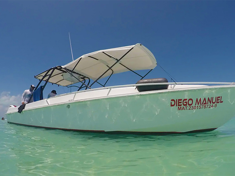 Pro Dive's fast launches provide comfortable rides to whale shark encounters.