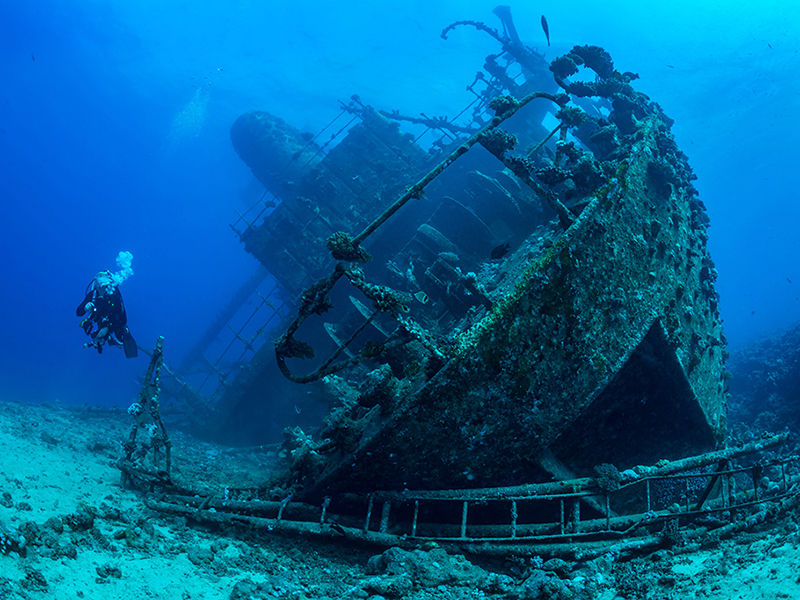 The SS Thistlegorm is the Red Sea's most famous wreck dive. The SS Thistlegorm is the Red Sea's most famous wreck dive.
