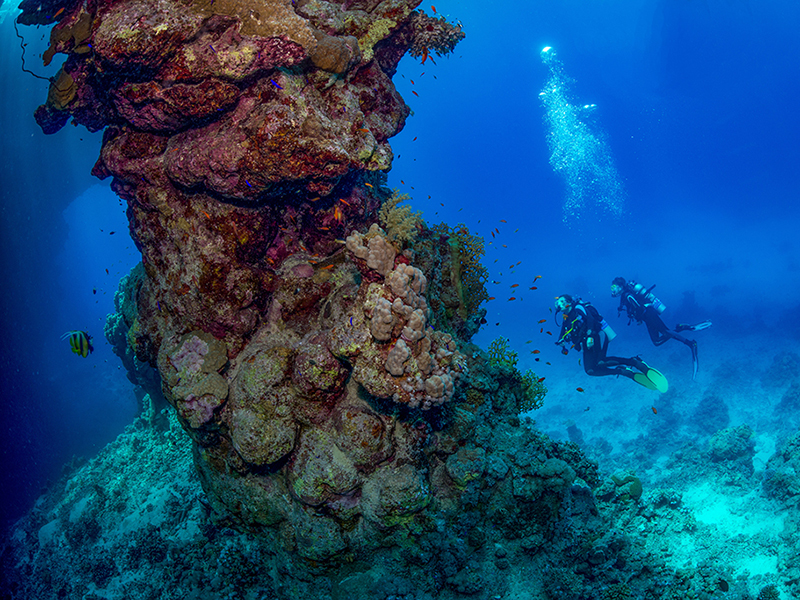 The St. John's Reefs feature unusual pillar-like reef formations. The St. John's Reefs feature unusual pillar-like reef formations.