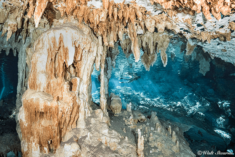 The cenotes in Riviera Maya are filled with wonder that both divers and snorkelers love exploring.