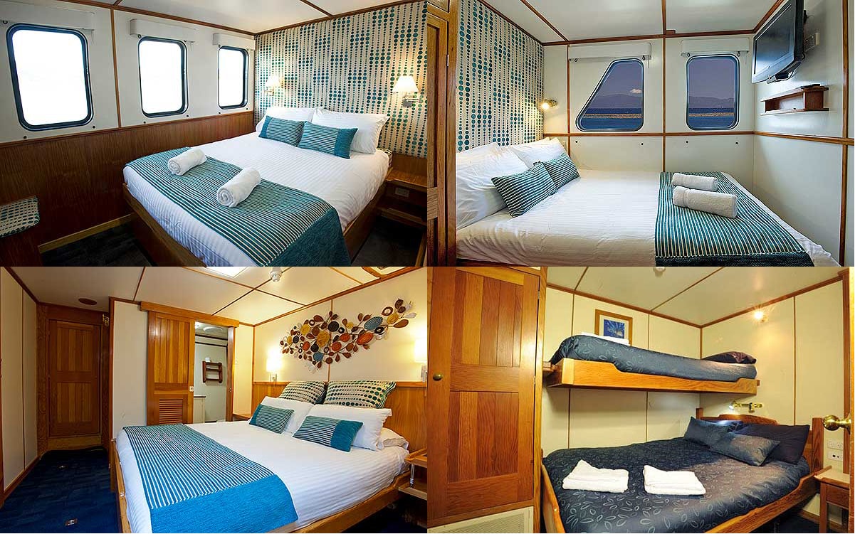 Guest quarters aboard the Spirit of Freedom include (clockwise from top right) Ocean View, Twin Share, Stateroom and Ocean View Deluxe cabins.