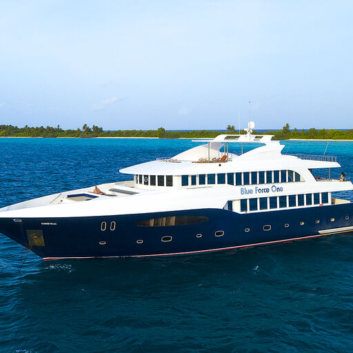 Liveaboard Diving in the Maldives