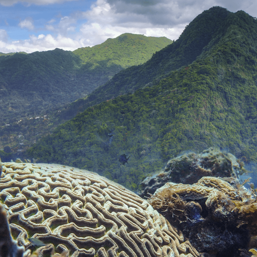 Puerto Rico Puerto Rico