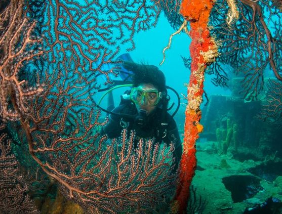 SCUBA diving in St. Lucia