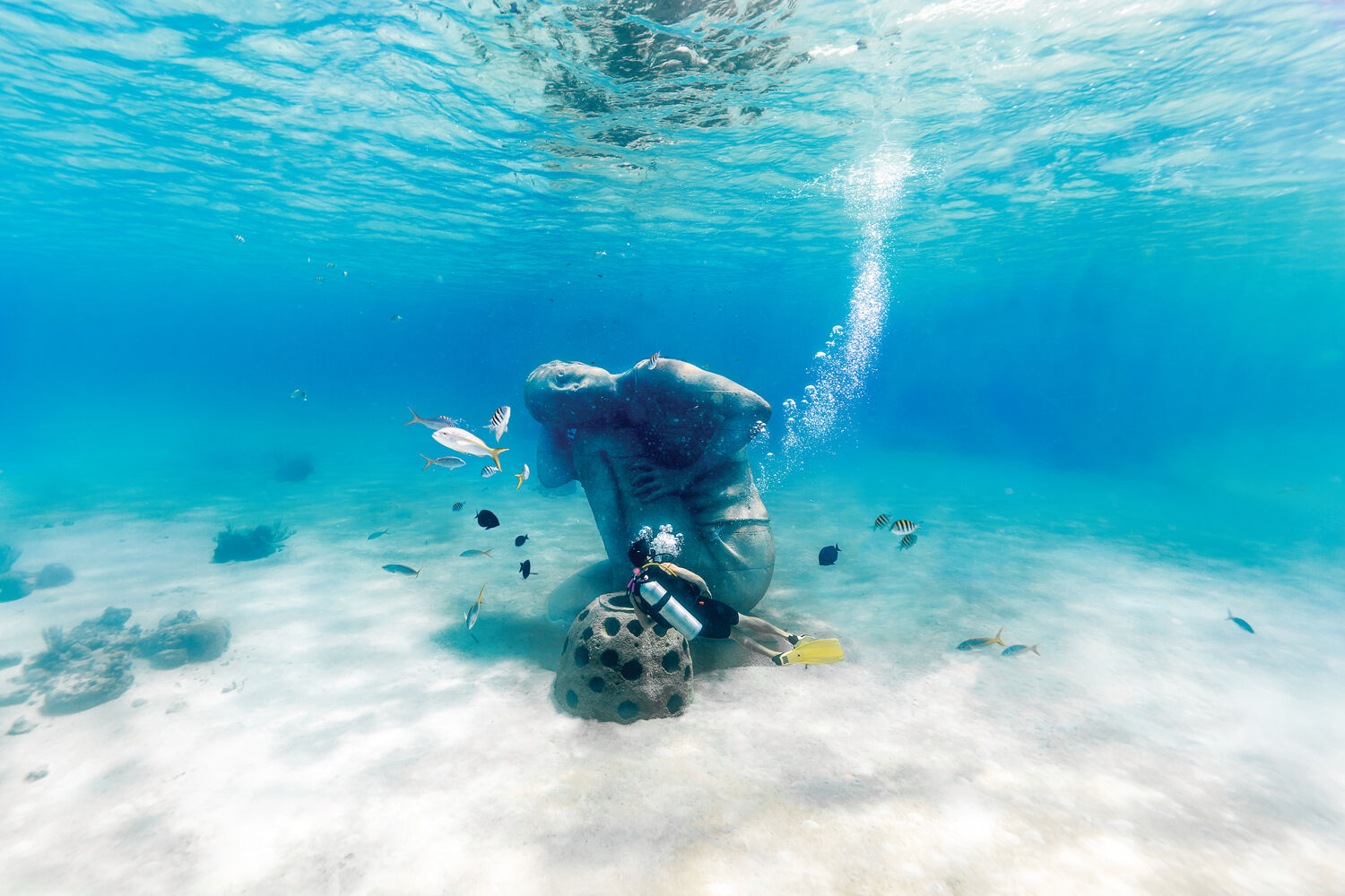 Shop Bahamas Scuba Dive Package Specials With Caradonna