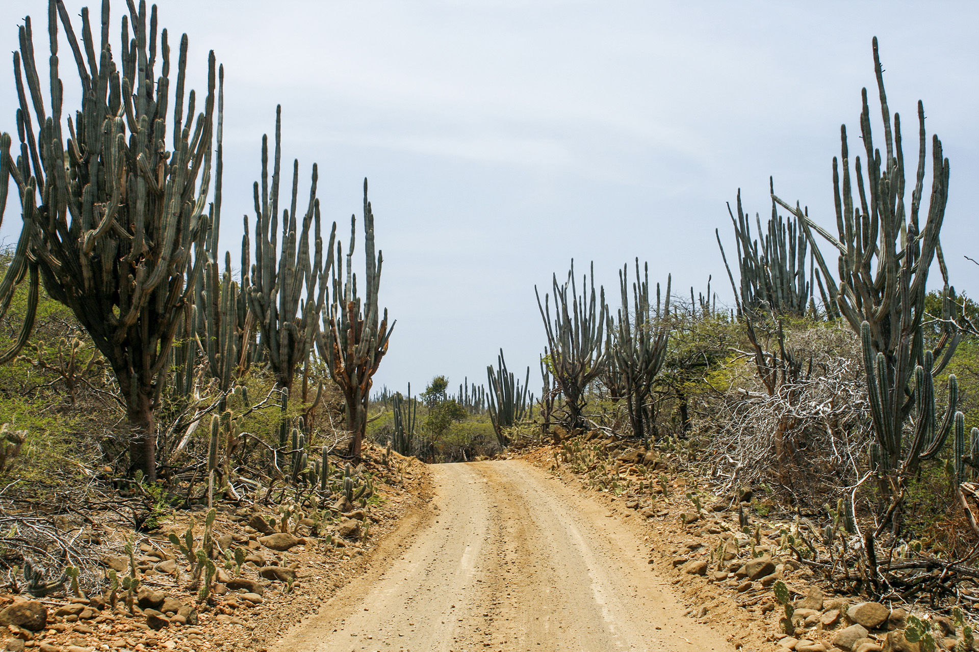 Offroading in Bonaire