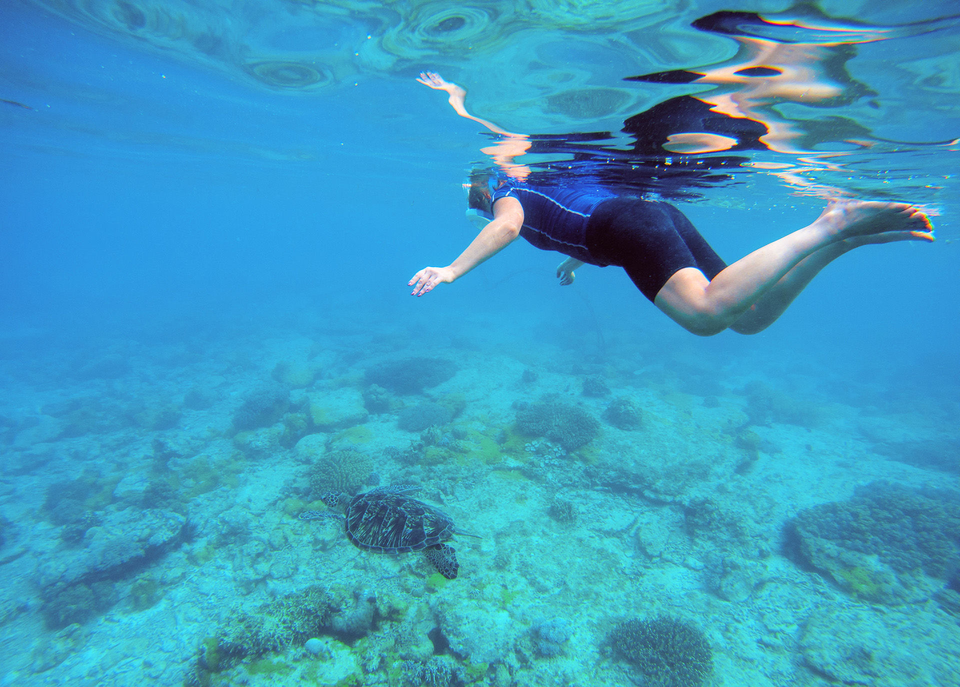 Snorkeling in Dominica