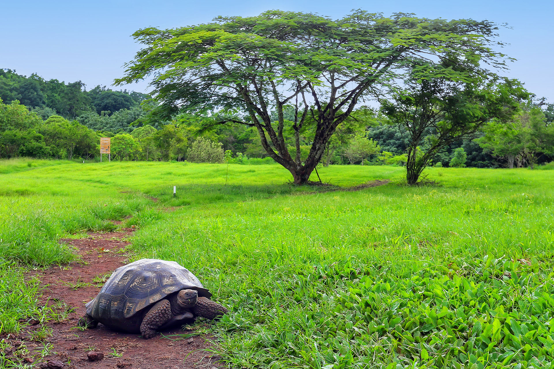  Cultural Activities in Galapagos