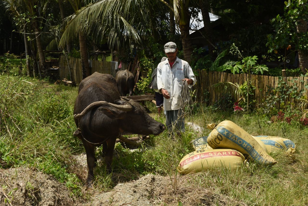 Cultural Activities in the Philippines