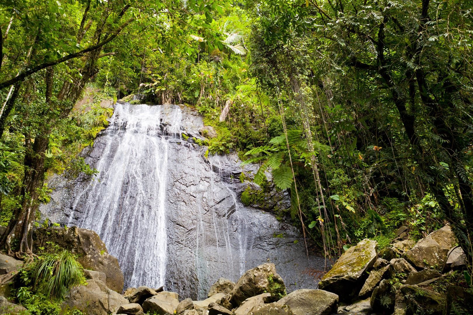 Hiking in Puerto Rico Hiking in Puerto Rico