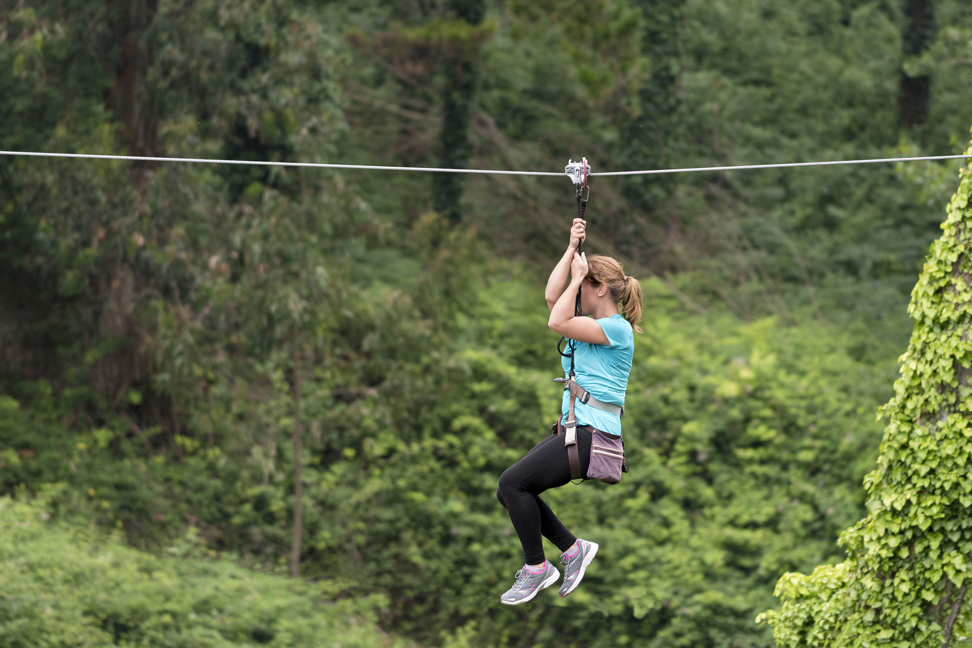 Ziplining in Puerto Rico Ziplining in Puerto Rico