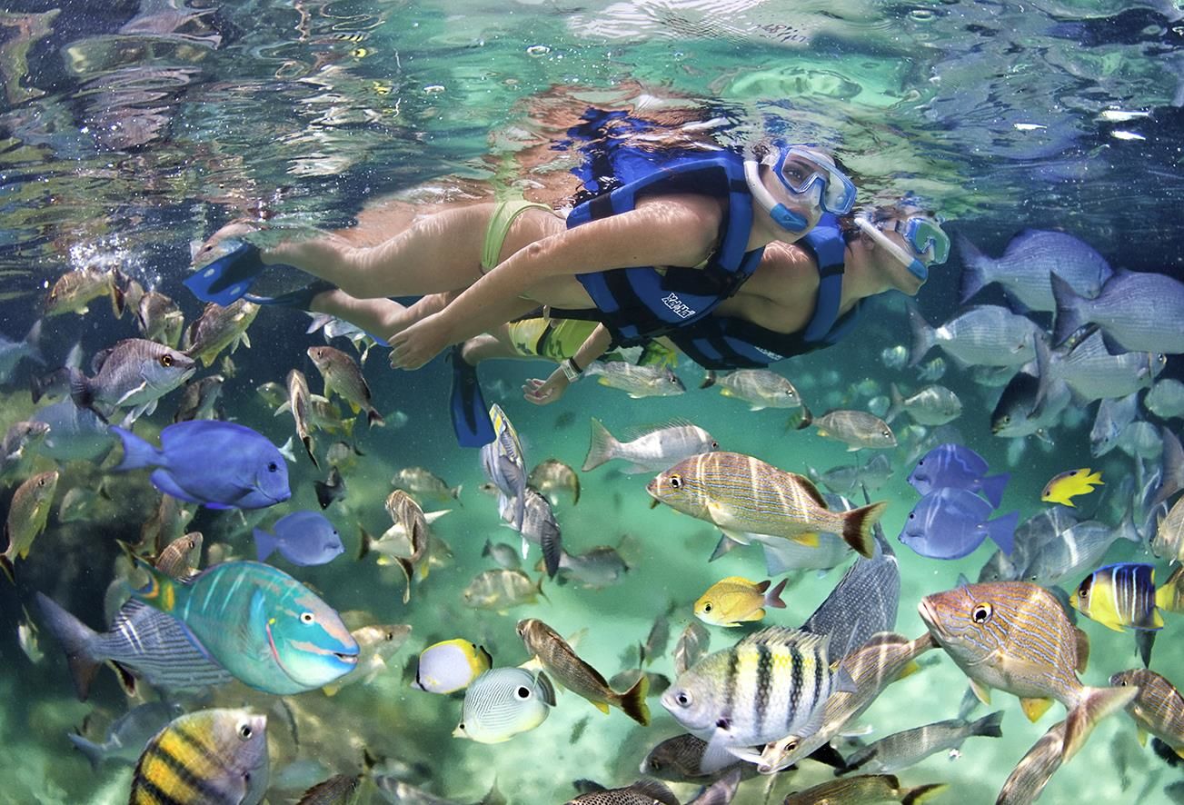 Snorkeling in Riviera Maya Snorkeling in Riviera Maya