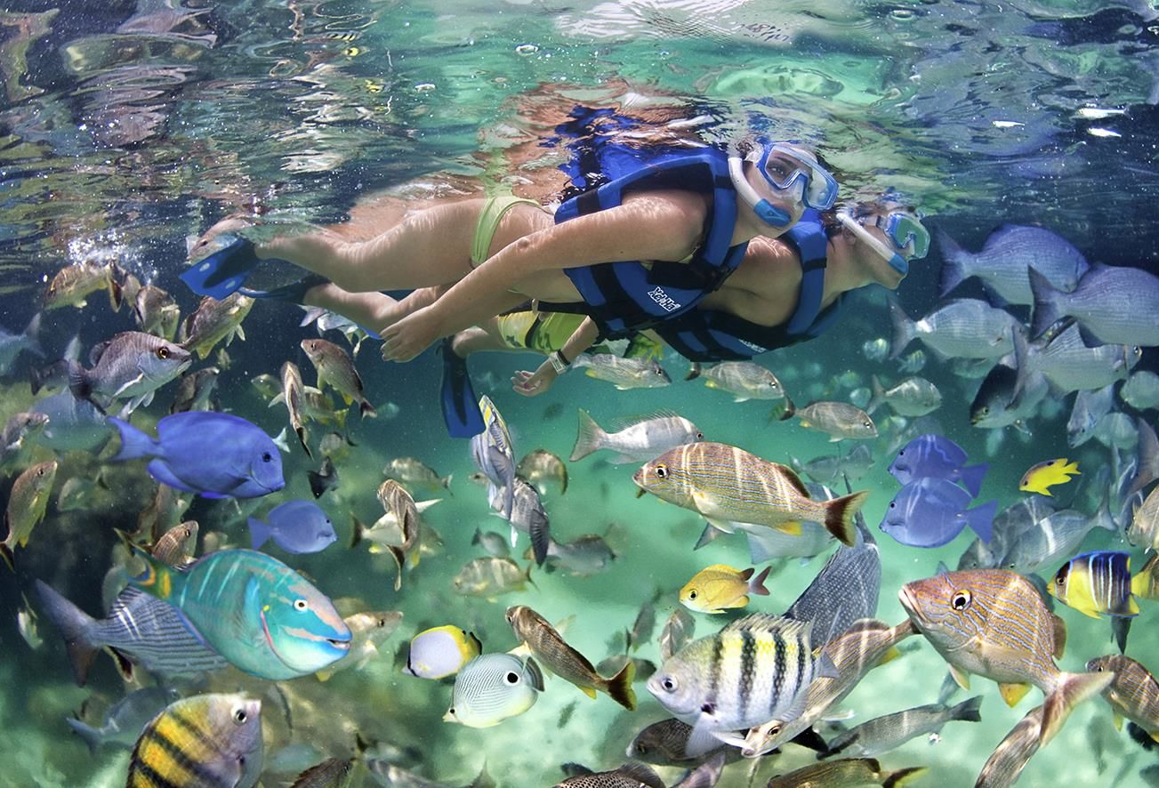 Snorkeling in Riviera Maya