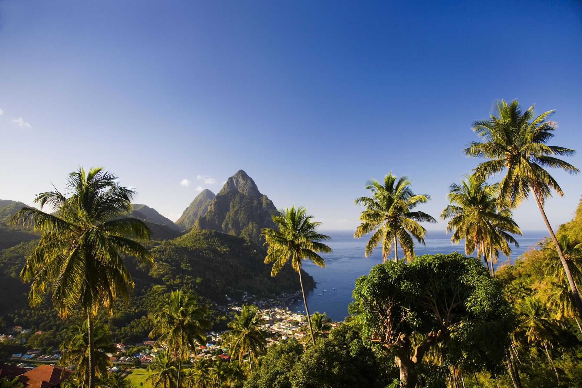 Vacations in St. Lucia