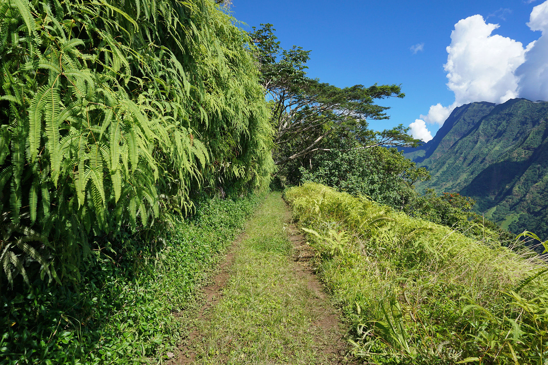 Offroading in Tahiti