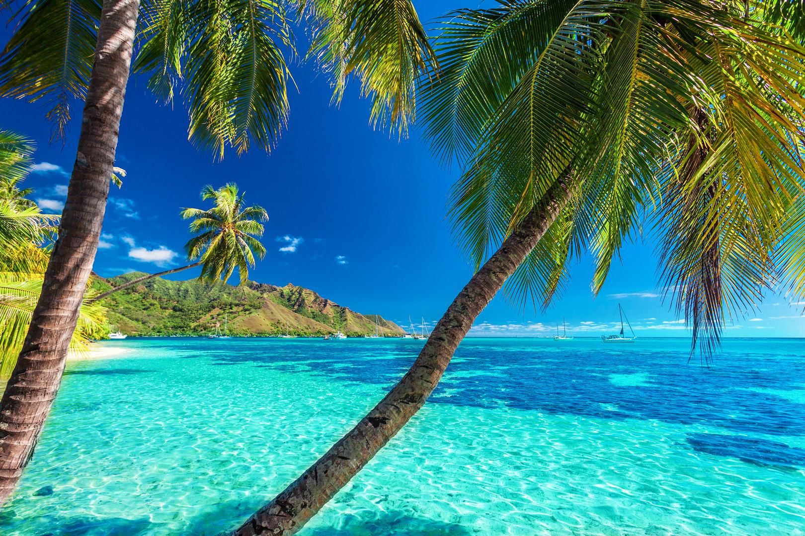 Vacations in Tahiti