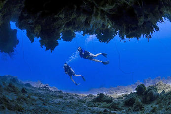 Reefs and walls are riddled with caverns, swim throughs and blue holes. 