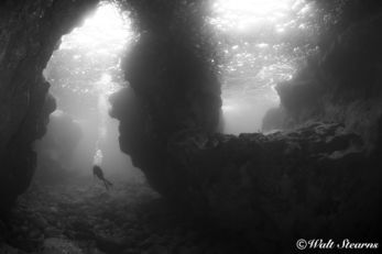 Lava Tube Lava Tube