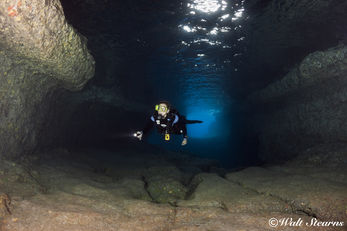 Lava Tube