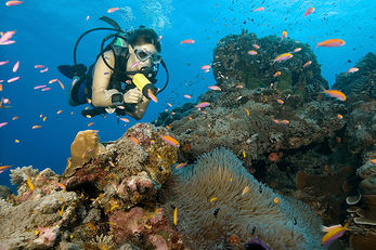 Yaps coral reefs remain in near-pristine condition.