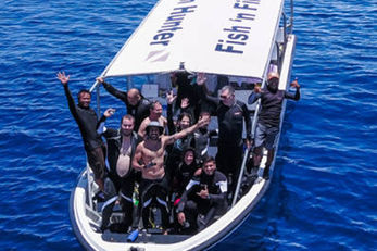 Fish 'n Fins boats provide small group diving services. Fish 'n Fins boats provide small group diving services.
