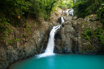 Set within the Tobago Main Ridge Forest Reserve Argyle Falls can be reached with an easy 20-minute walk. Set within the Tobago Main Ridge Forest Reserve Argyle Falls can be reached with an easy 20-minute walk.