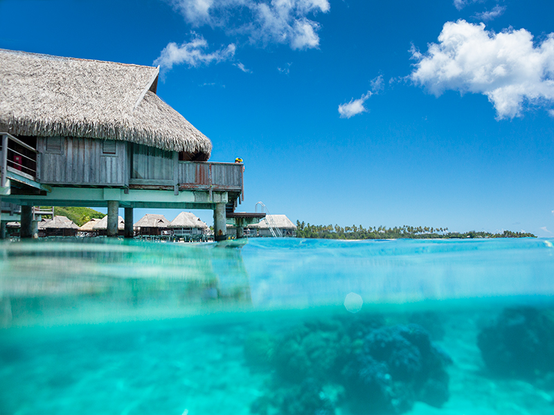 The Islands of Tahiti are the birthplace of the over-water bungalow.