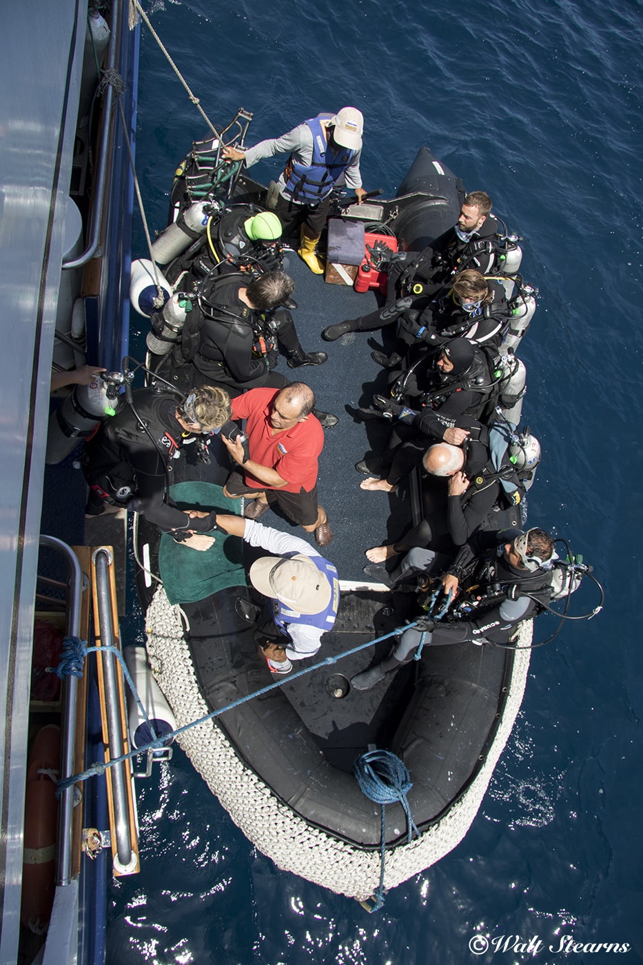 The Galapagos Sky's dive team handles all gear transfer between boat and the launches. All divers need do is step aboard. The Galapagos Sky's dive team handles all gear transfer between boat and the launches. All divers need do is step aboard.