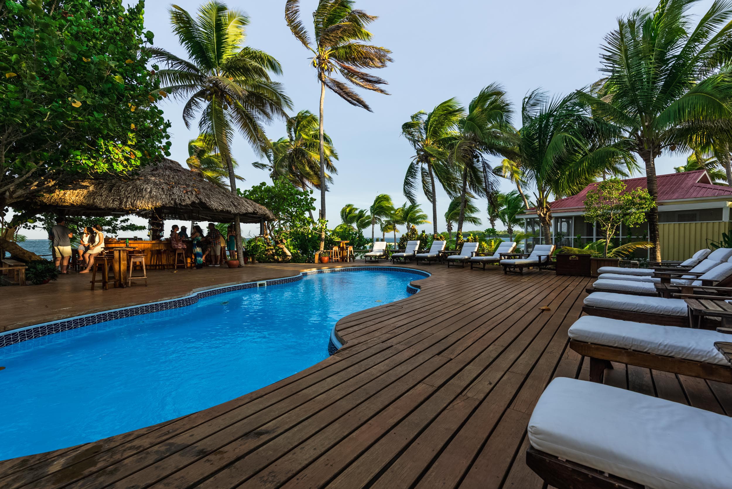 Palm trees line the deck of the resort's pool, which is filled with clean fresh water created by an on-site purification system.