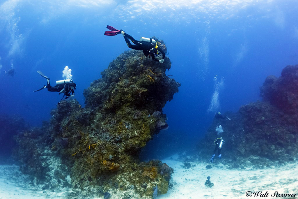 From the Pro Dive Mexico center at Allegro Resort, divers have a short boat ride to sites like the Palancar Reefs.