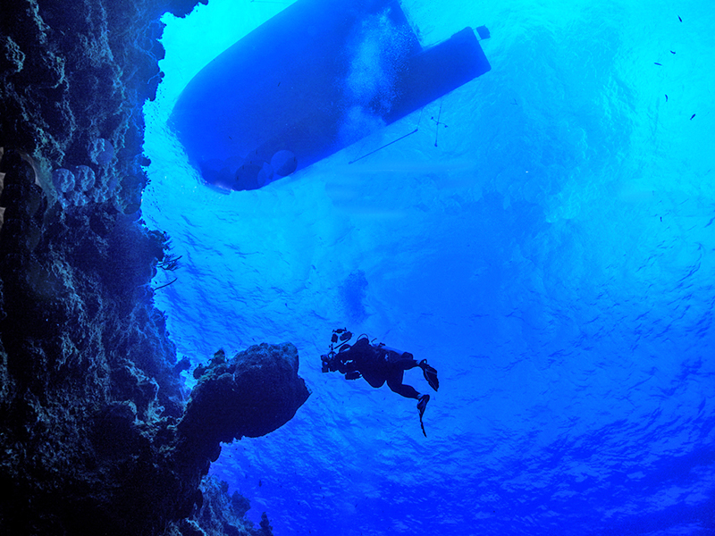 Divers descend on the wall at Andros Island.