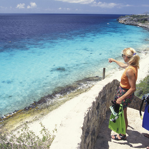 Bonaire's Dive Site 1000 Steps Bonaire's Dive Site 1000 Steps