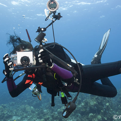 How to Shoot Your Dive Buddy – Legally How to Shoot Your Dive Buddy – Legally