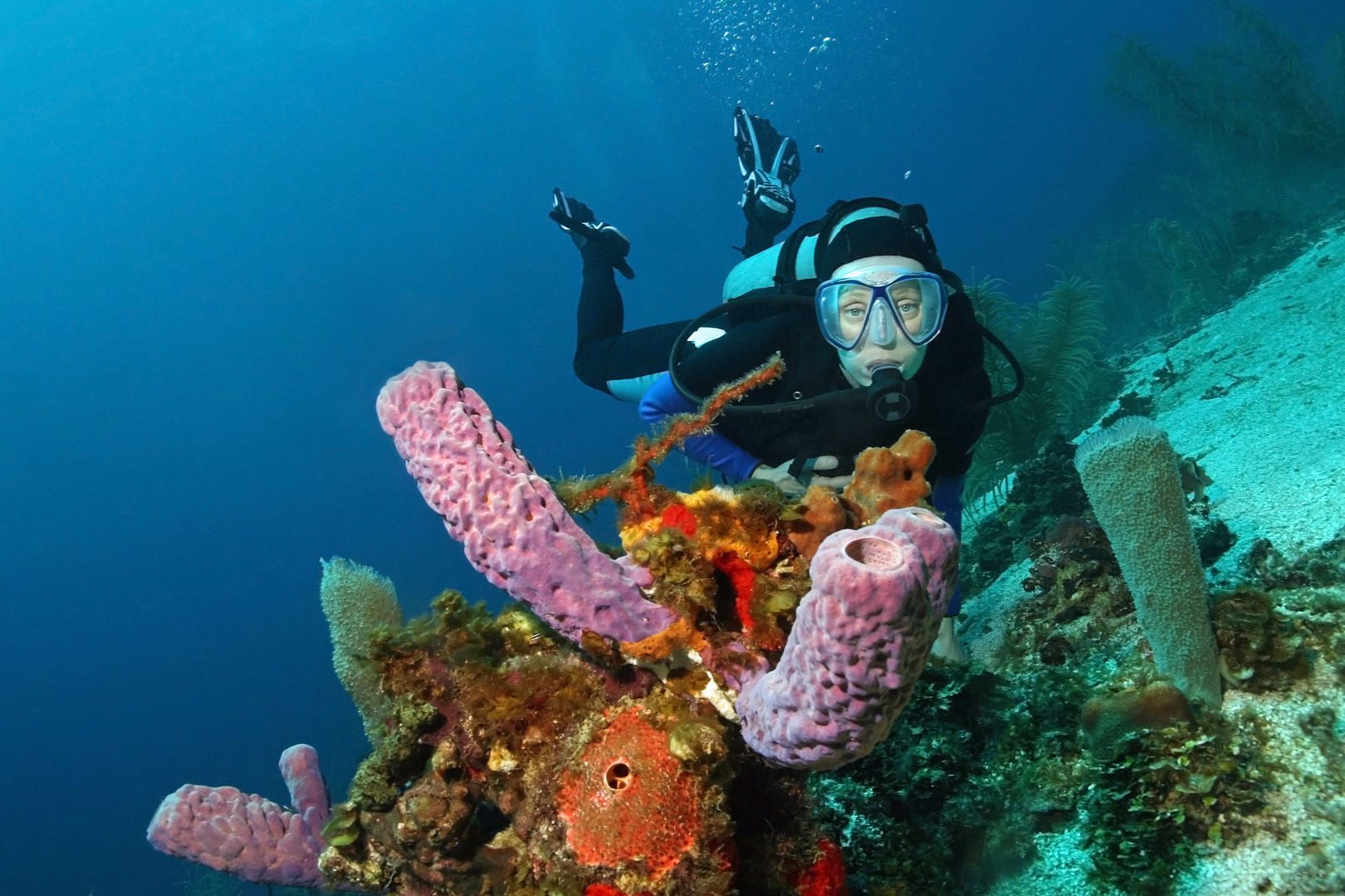 With more than 180 miles of barrier reef, hundreds of square miles of shallow reefs and three offshore atolls, Belize has ample diving variety