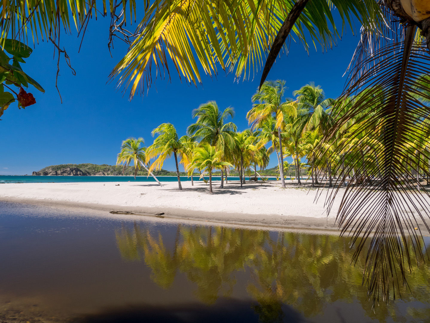 Costa Rica’s Pacific coastline offer intrepid travelers a wealth of natural wonders to go with your scuba diving vacation