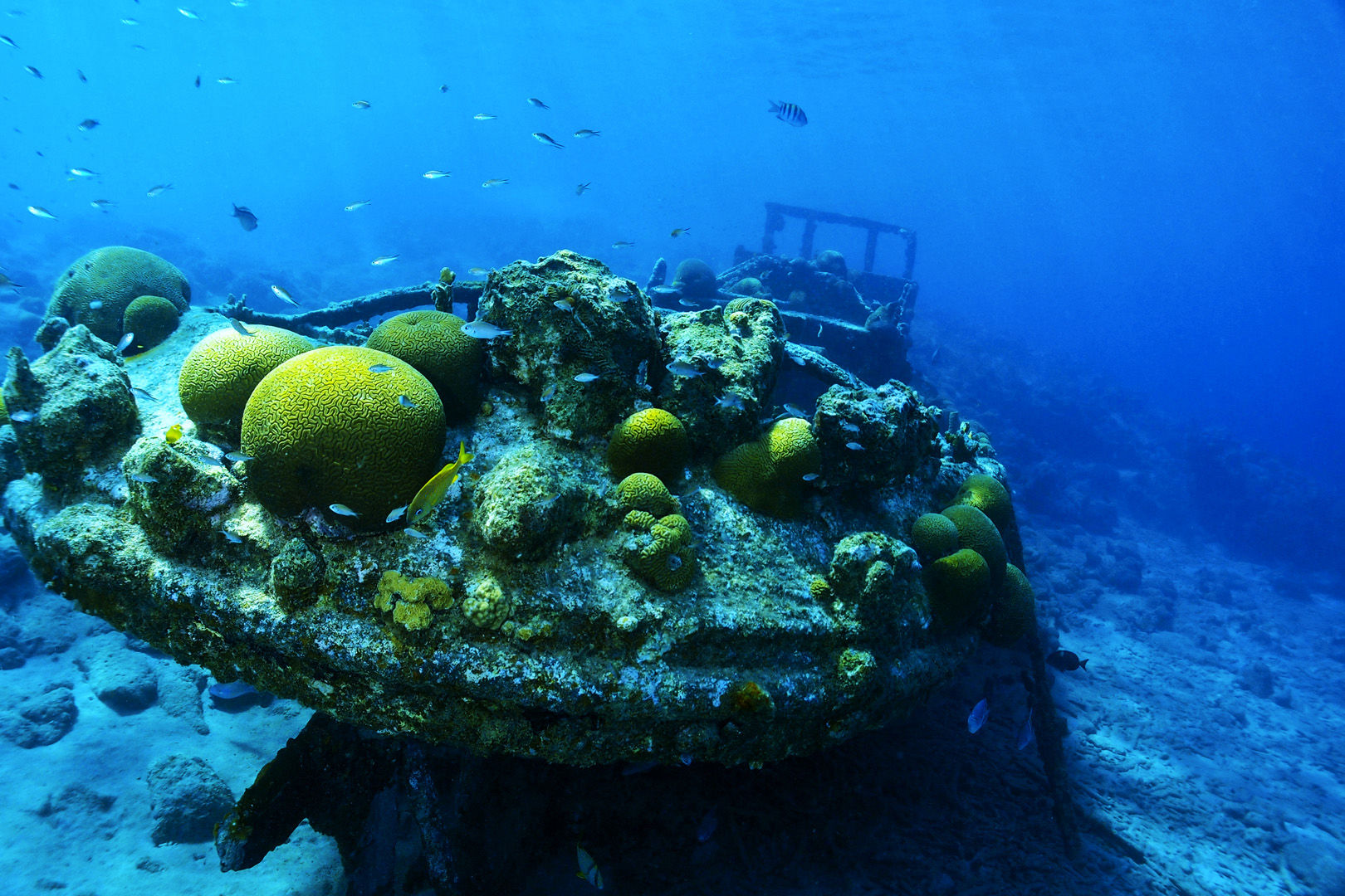 Tugboat wreck lying in the sunlit shallows in Curacao Tugboat wreck lying in the sunlit shallows in Curacao