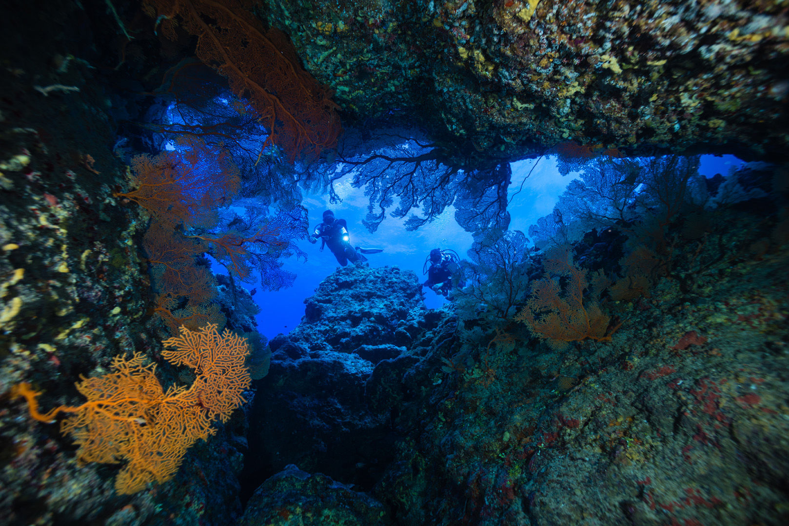 Tonga’s seascapes include colorful soft coral growths reminiscent of Fiji and walls and slopes covered in hard corals. Abundant fish life and invertebrate-filled shallows round out the dive roster Tonga’s seascapes include colorful soft coral growths reminiscent of Fiji and walls and slopes covered in hard corals. Abundant fish life and invertebrate-filled shallows round out the dive roster
