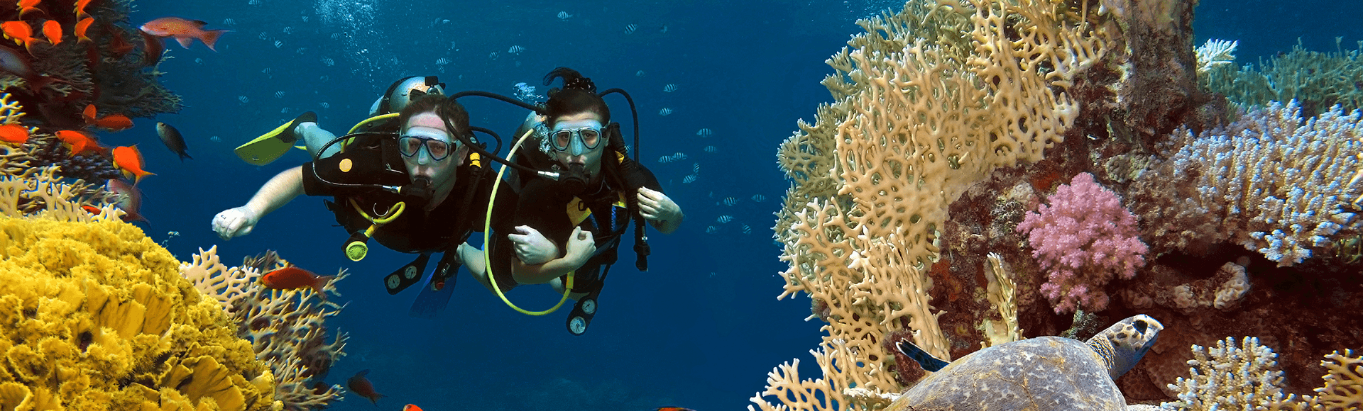 Couple diving buddy diving among coral and fish in the ocean