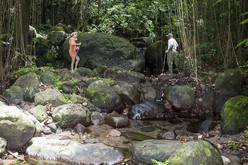 Hiking in St. Kitts and Nevis