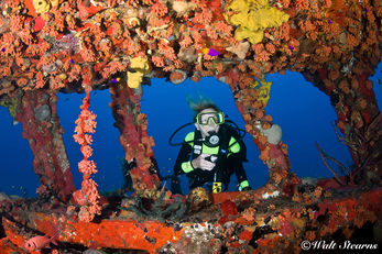 How to Shoot Your Dive Buddy – Legally How to Shoot Your Dive Buddy – Legally