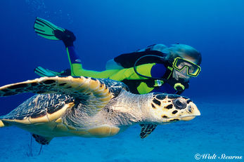 How to Shoot Your Dive Buddy – Legally How to Shoot Your Dive Buddy – Legally
