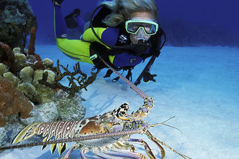 How to Shoot Your Dive Buddy – Legally How to Shoot Your Dive Buddy – Legally