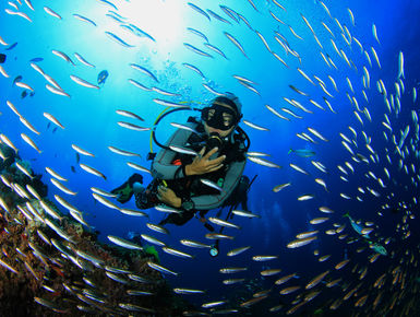 Australia's Great Barrier Reef is one of the seven wonders of the natural world, and a destination that has it all from the tiniest and most exotic marine creature to the largest fish in the sea