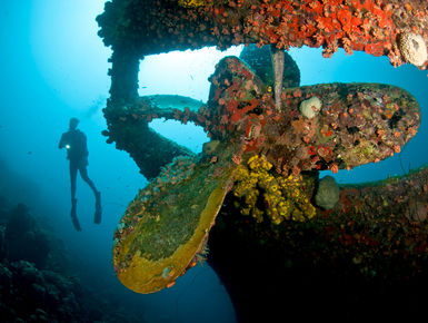 Diver exploring the Hilma Hooker wreck in Bonaire