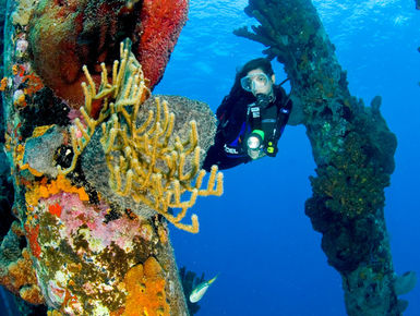 Female diver meanders the legs fo the Salt Pier