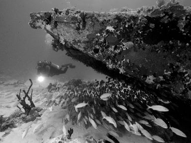 Scuba diver exploring a plane wreck in BVI